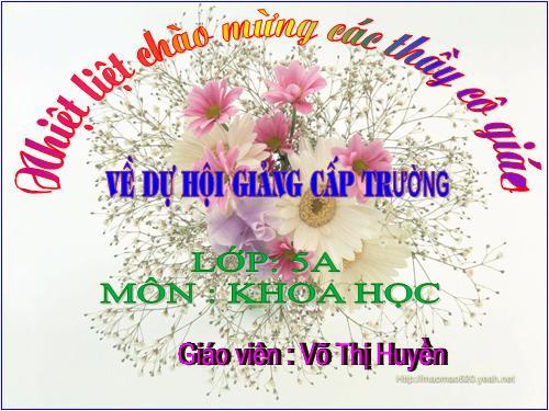 Bài 15. Phòng bệnh viêm gan A