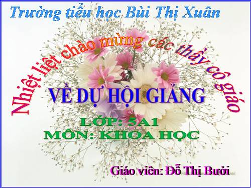 Bài 15. Phòng bệnh viêm gan A