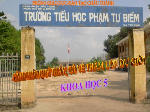 Bài 19. Phòng tránh tai nạn giao thông đường bộ