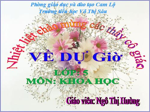 Bài 15. Phòng bệnh viêm gan A