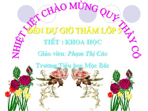 Bài 13. Phòng bệnh sốt xuất huyết