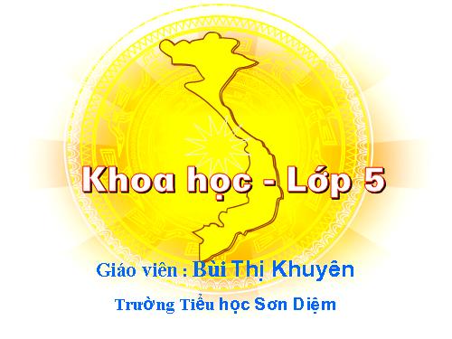 Bài 18. Phòng tránh bị xâm hại