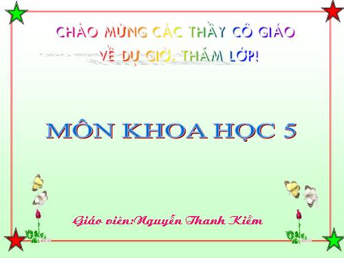 Bài 19. Phòng tránh tai nạn giao thông đường bộ