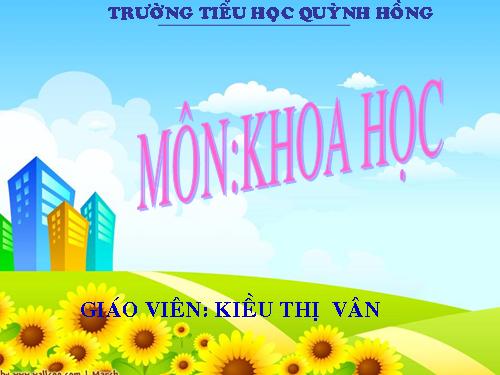 Bài 15. Phòng bệnh viêm gan A