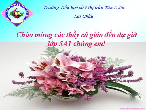 Bài 19. Phòng tránh tai nạn giao thông đường bộ