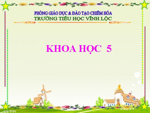 Bài 59. Sự sinh sản của thú