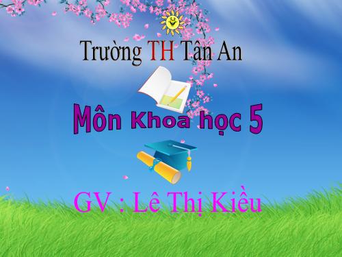 Bài 15. Phòng bệnh viêm gan A