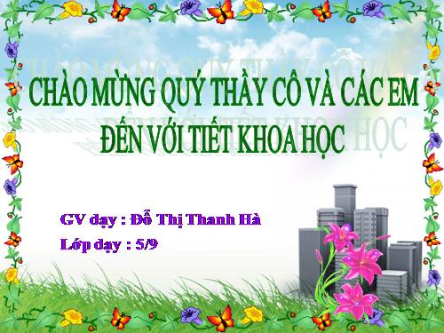 Bài 15. Phòng bệnh viêm gan A