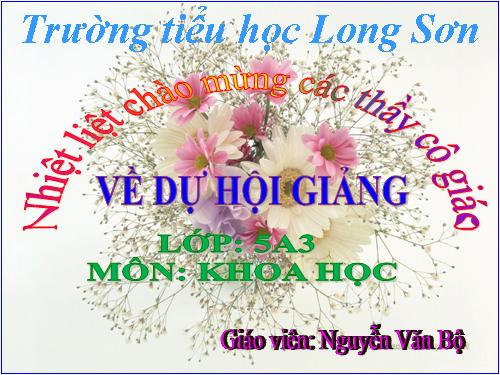 Bài 15. Phòng bệnh viêm gan A