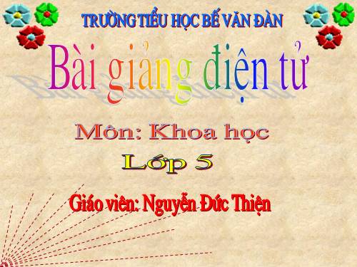 Bài 20-21. Ôn tập: Con người và sức khỏe