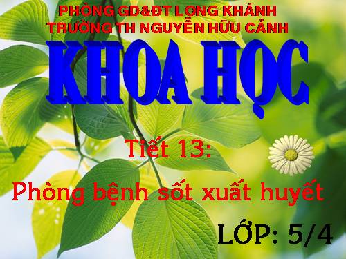 Bài 13. Phòng bệnh sốt xuất huyết