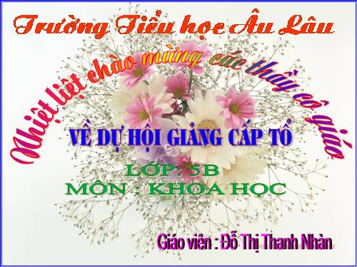 Bài 15. Phòng bệnh viêm gan A