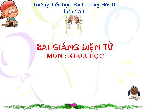 Bài 12. Phòng bệnh sốt rét