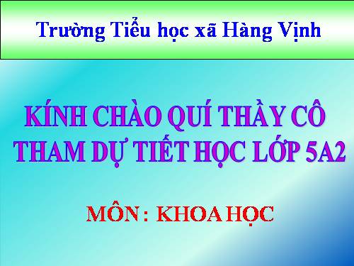 Bài 14. Phòng bệnh viêm não