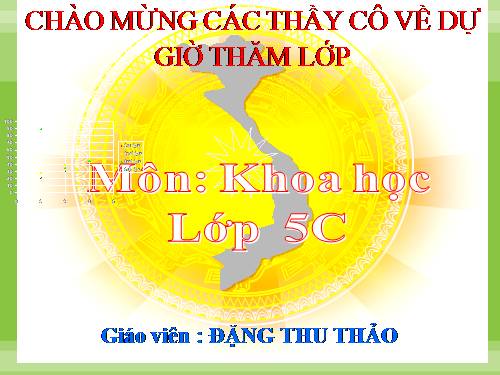 Bài 18. Phòng tránh bị xâm hại