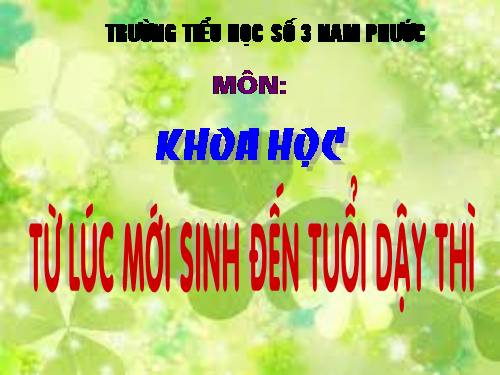 Bài 6. Từ lúc mới sinh đến tuổi dậy thì