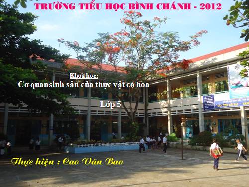 Bài 51. Cơ quan sinh sản của thực vật có hoa