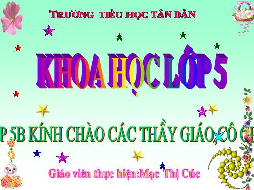 Bài 9-10. Thực hành: Nói "Không!" đối với các chất gây nghiện