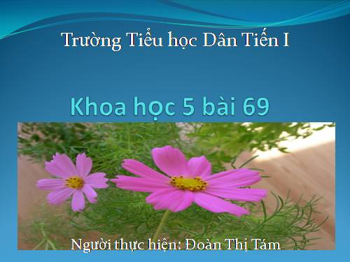 Bài 69. Ôn tập: Môi trường và tài nguyên thiên nhiên