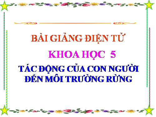 Bài 65. Tác động của con người đến môi trường rừng