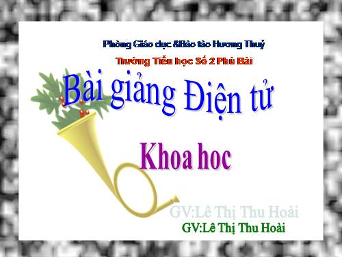 Bài 65. Tác động của con người đến môi trường rừng