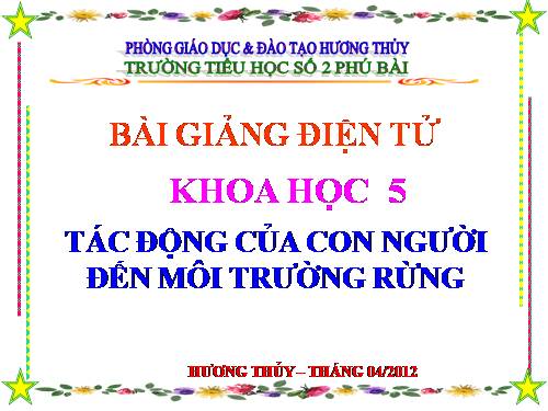 Bài 65. Tác động của con người đến môi trường rừng