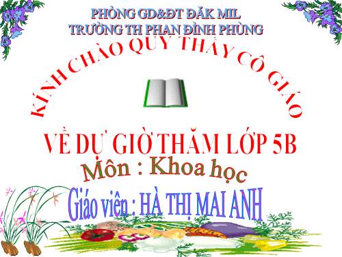 Bài 67. Tác động của con người đến môi trường không khí và nước