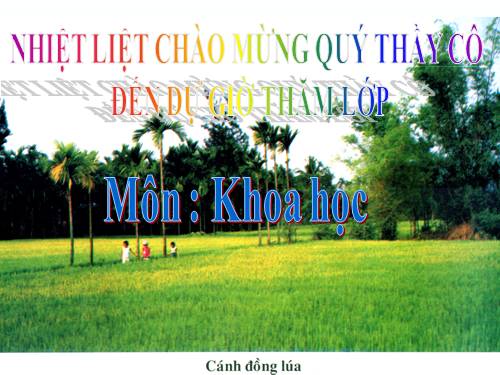 Bài 62. Môi trường