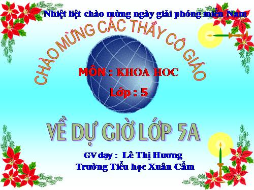 Bài 62. Môi trường