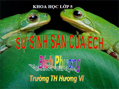 Bài 57. Sự sinh sản của ếch