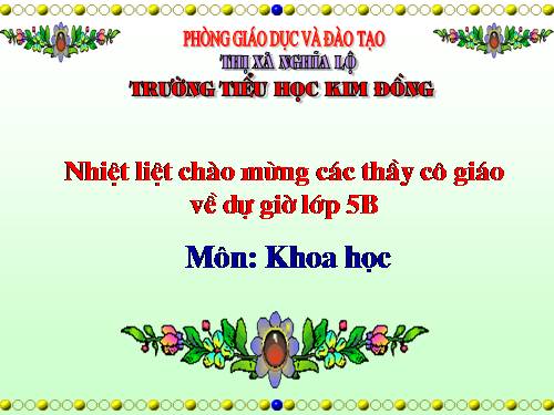 Bài 19. Phòng tránh tai nạn giao thông đường bộ