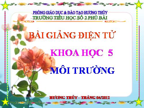 Bài 62. Môi trường