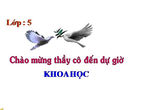 Bài 60. Sự nuôi và dạy con của một số loài thú