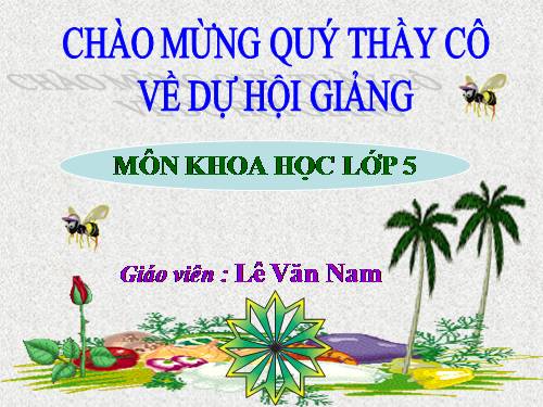 Bài 56. Sự sinh sản của côn trùng