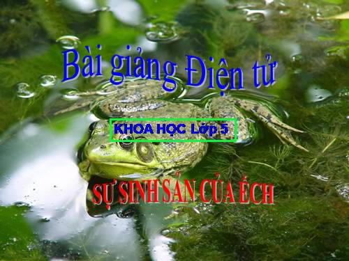 Bài 57. Sự sinh sản của ếch