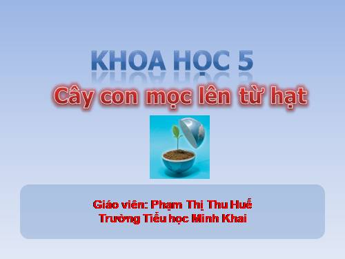 Bài 53. Cây con mọc lên từ hạt