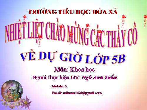 Bài 15. Phòng bệnh viêm gan A