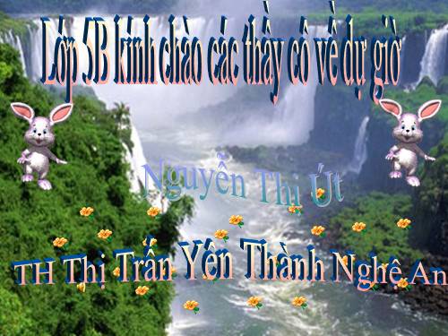 Bài 58. Sự sinh sản và nuôi con của chim
