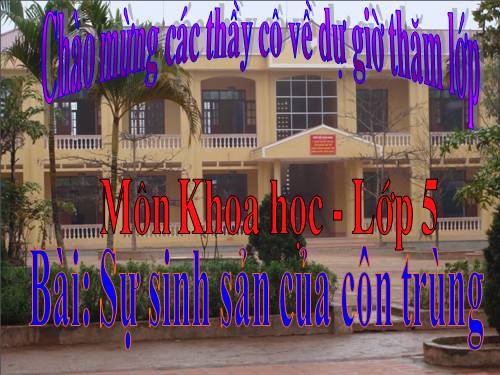 Bài 56. Sự sinh sản của côn trùng