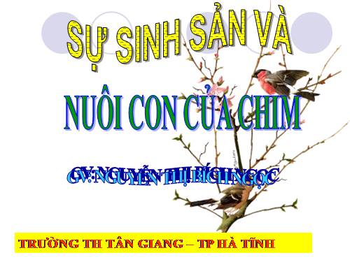 Bài 58. Sự sinh sản và nuôi con của chim