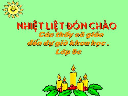 Bài 58. Sự sinh sản và nuôi con của chim