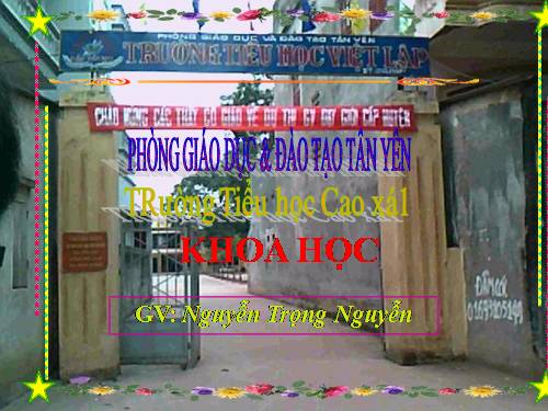 Bài 55. Sự sinh sản của động vật
