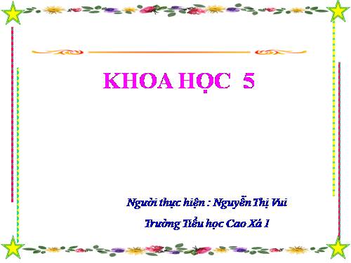 Bài 56. Sự sinh sản của côn trùng