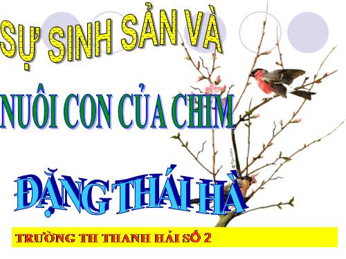 Bài 58. Sự sinh sản và nuôi con của chim