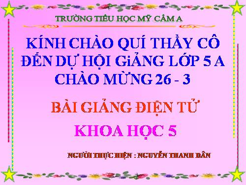 Bài 54. Cây con có thể mọc lên từ một số bộ phận của cây mẹ