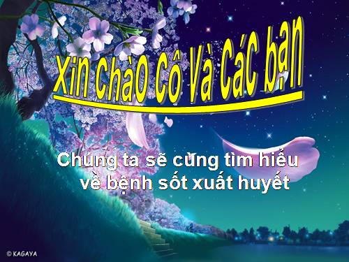 Thuyết trình bệnh sốt xuất huyết