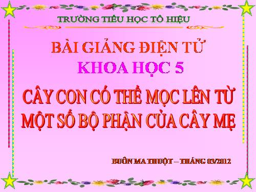 Bài 54. Cây con có thể mọc lên từ một số bộ phận của cây mẹ