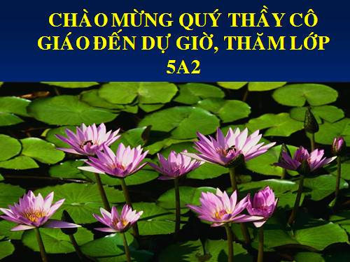 Bài 24. Đồng và hợp kim của đồng
