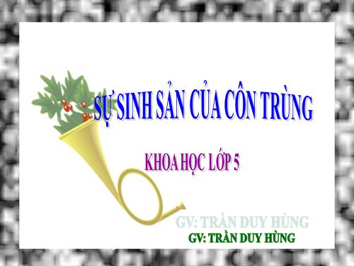 Bài 56. Sự sinh sản của côn trùng