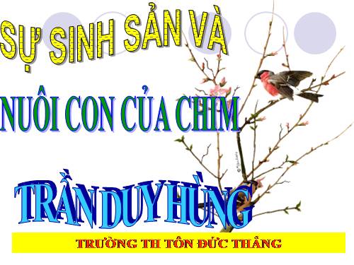 Bài 58. Sự sinh sản và nuôi con của chim